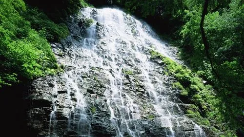 高性能信息化稳定性